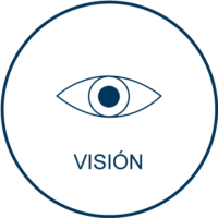 vision vision
